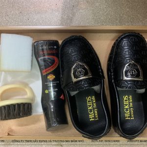 Bài học đánh bóng giày với si