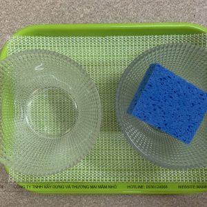 Bài học vắt nước với bọt biển