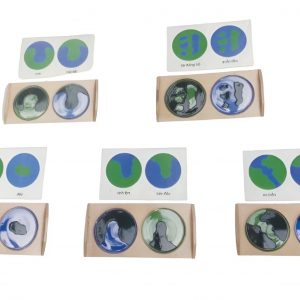 10 khay bản đồ đất và nước, các bài học đơn giản (Đã bao gồm hướng dẫn), Tiếng Anh - Tiếng Việt