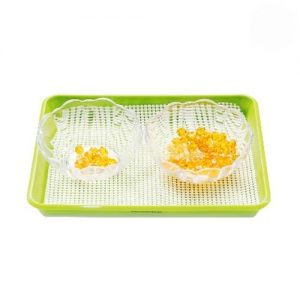 Bài học bốc chuyển hạt