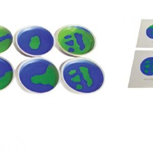 10 khay bản đồ đất và nước, các bài học phức tạp (Đã bao gồm hướng dẫn), Tiếng Anh - Tiếng Việt