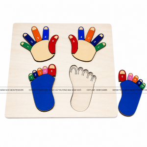 Bộ ghép hình và số bàn chân, bàn tay (từ 1-10) - UDM